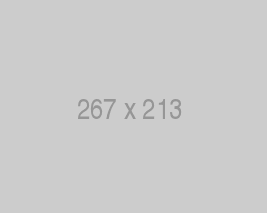 267 x 213 placeholder
